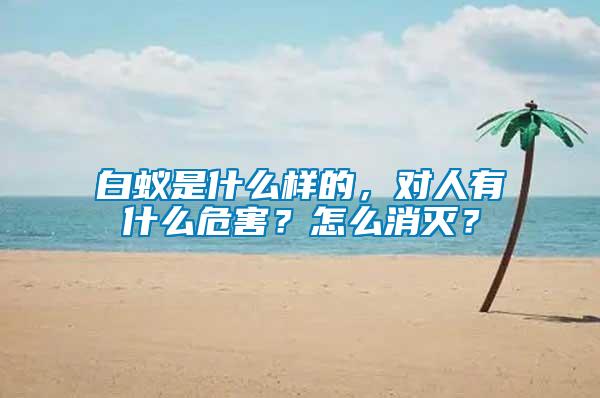 白蟻是什么樣的，對人有什么危害？怎么消滅？