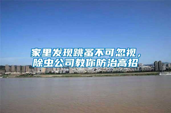 家里發(fā)現(xiàn)跳蚤不可忽視，除蟲(chóng)公司教你防治高招