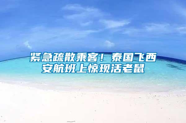 緊急疏散乘客！泰國(guó)飛西安航班上驚現(xiàn)活老鼠