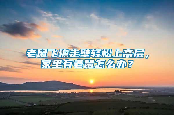 老鼠飛檐走壁輕松上高層，家里有老鼠怎么辦？