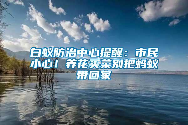 白蟻防治中心提醒：市民小心！養花買菜別把螞蟻帶回家