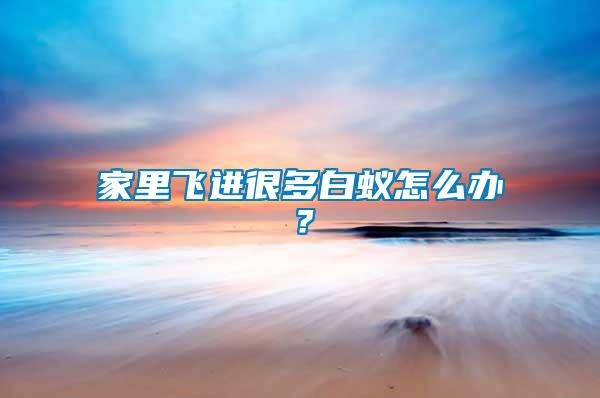 家里飛進(jìn)很多白蟻怎么辦？