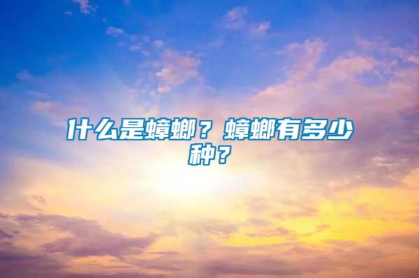 什么是蟑螂？蟑螂有多少種？