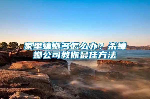 家里蟑螂多怎么辦？殺蟑螂公司教你最佳方法
