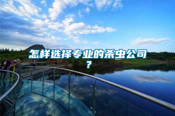 怎樣選擇專業(yè)的殺蟲公司？
