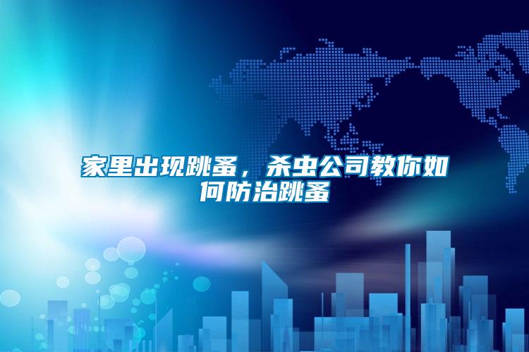 家里出現跳蚤，殺蟲公司教你如何防治跳蚤