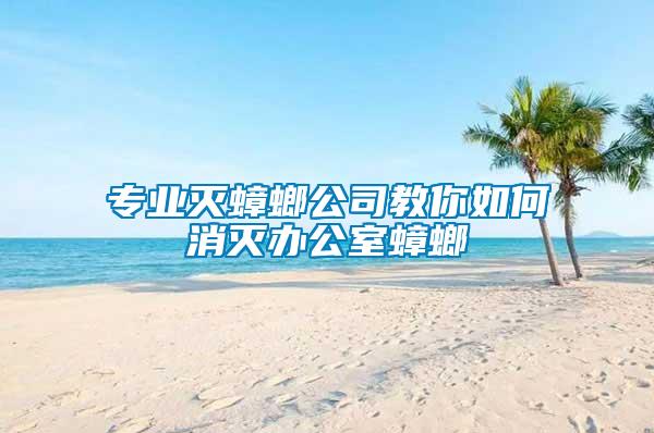 專(zhuān)業(yè)滅蟑螂公司教你如何消滅辦公室蟑螂