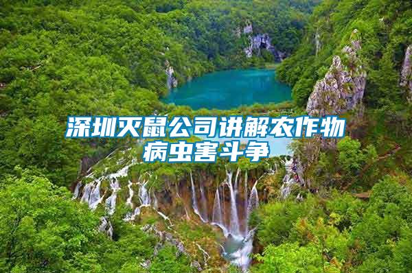 深圳滅鼠公司講解農(nóng)作物病蟲(chóng)害斗爭(zhēng)