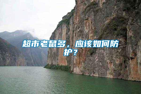 超市老鼠多，應該如何防護？