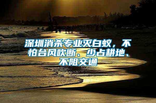 深圳消殺專業(yè)滅白蟻，不怕臺(tái)風(fēng)吹斷、少占耕地、不阻交通