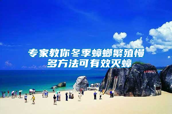 專(zhuān)家教你冬季蟑螂繁殖慢 多方法可有效滅蟑