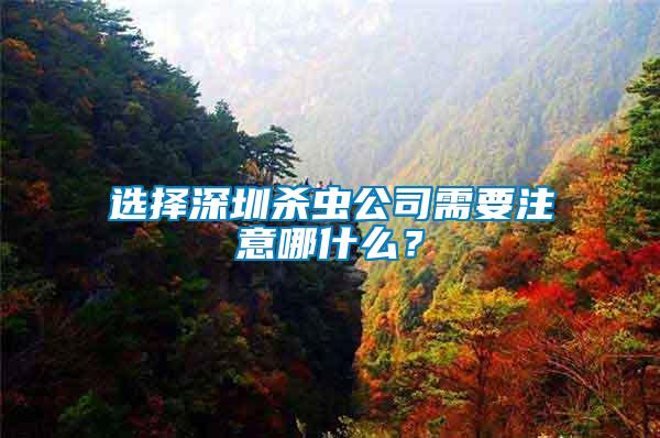 選擇深圳殺蟲公司需要注意哪什么？