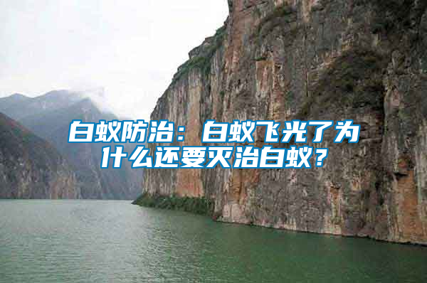 白蟻防治：白蟻飛光了為什么還要滅治白蟻？