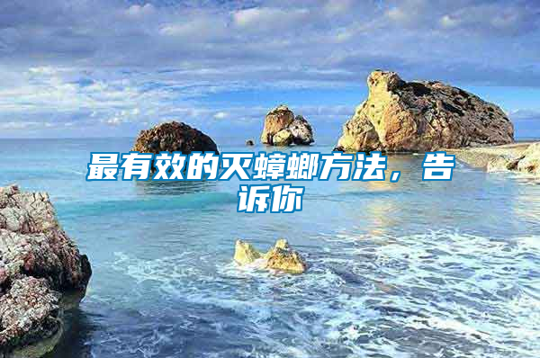 最有效的滅蟑螂方法，告訴你