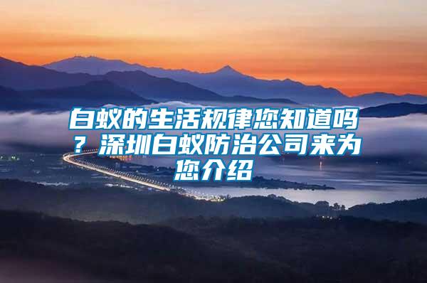 白蟻的生活規律您知道嗎？深圳白蟻防治公司來為您介紹
