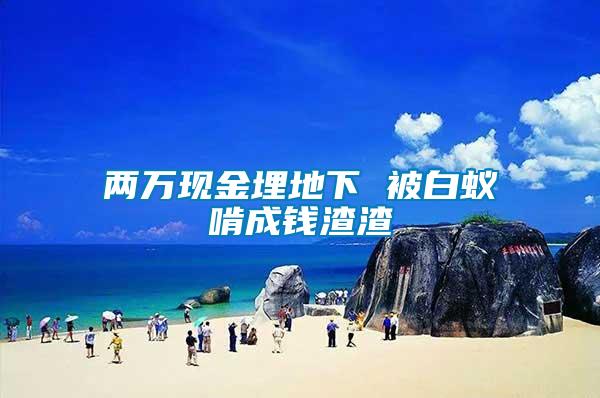 兩萬(wàn)現(xiàn)金埋地下 被白蟻啃成錢(qián)渣渣