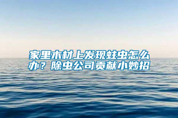 家里木材上發(fā)現(xiàn)蛀蟲怎么辦？除蟲公司貢獻(xiàn)小妙招