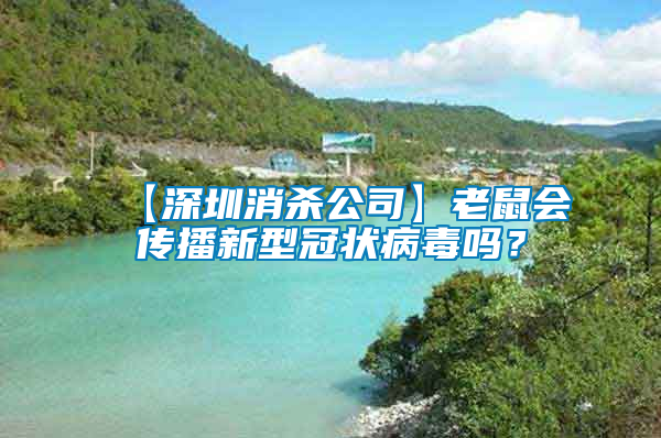 【深圳消殺公司】老鼠會(huì)傳播新型冠狀病毒嗎？