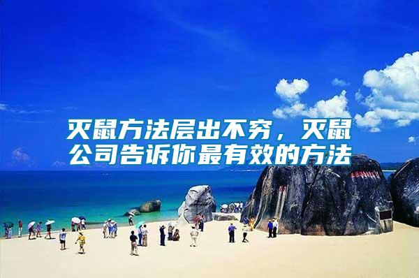 滅鼠方法層出不窮，滅鼠公司告訴你最有效的方法