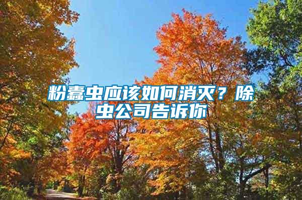 粉蠹蟲應該如何消滅？除蟲公司告訴你