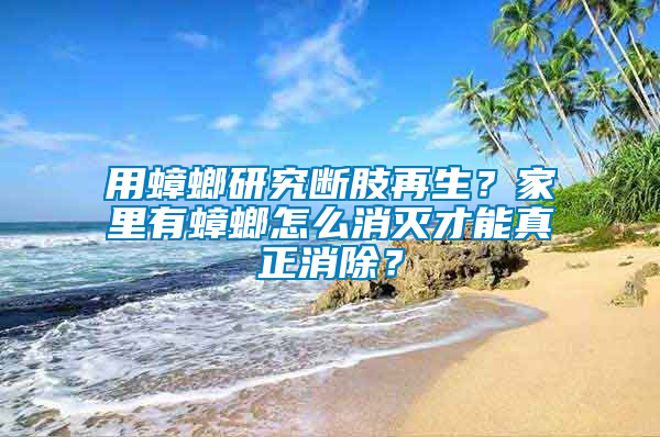 用蟑螂研究斷肢再生？家里有蟑螂怎么消滅才能真正消除？