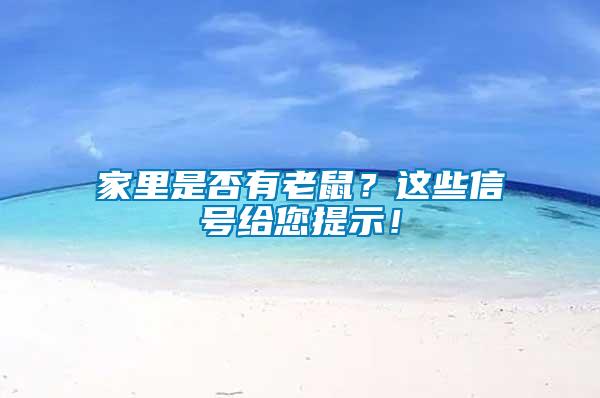 家里是否有老鼠？這些信號給您提示！