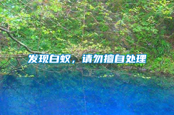 發現白蟻，請勿擅自處理
