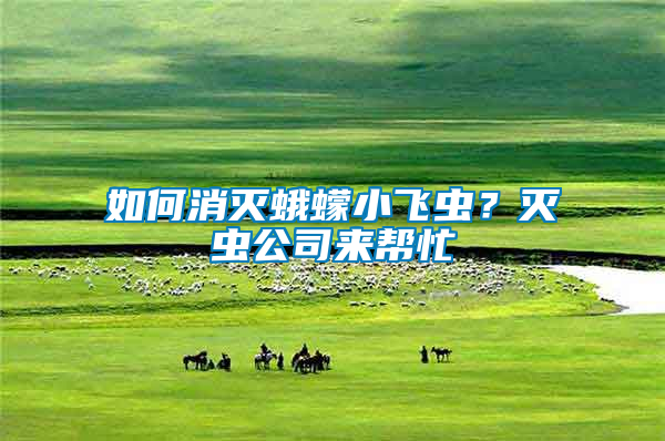 如何消滅蛾蠓小飛蟲？滅蟲公司來幫忙