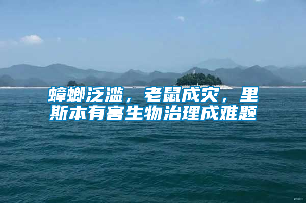 蟑螂泛濫，老鼠成災，里斯本有害生物治理成難題