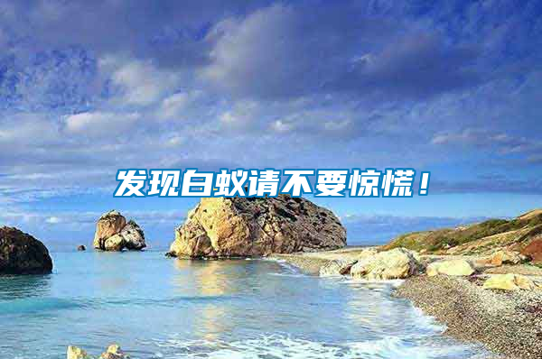 發現白蟻請不要驚慌！