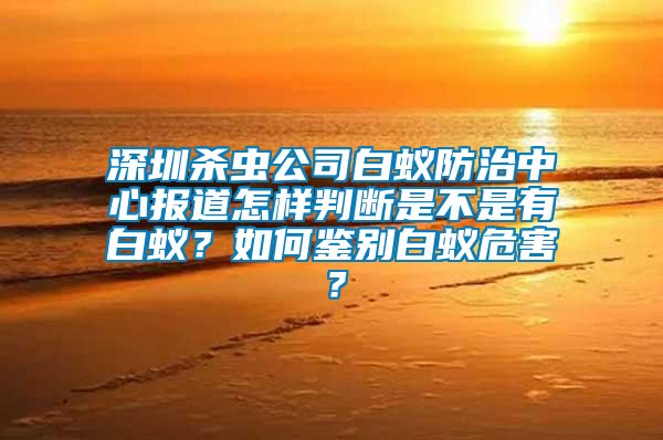 深圳殺蟲公司白蟻防治中心報道怎樣判斷是不是有白蟻？如何鑒別白蟻危害？