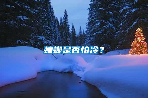 蟑螂是否怕冷？