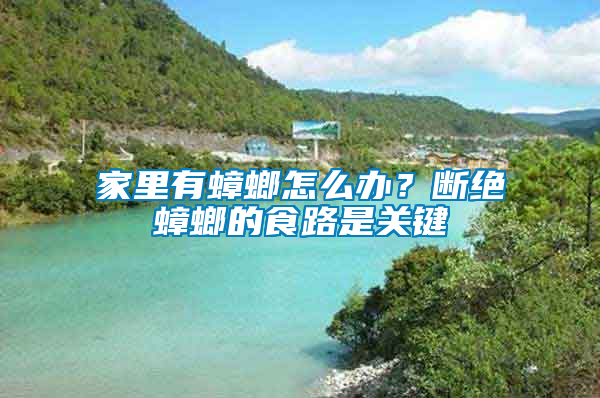 家里有蟑螂怎么辦？斷絕蟑螂的食路是關(guān)鍵