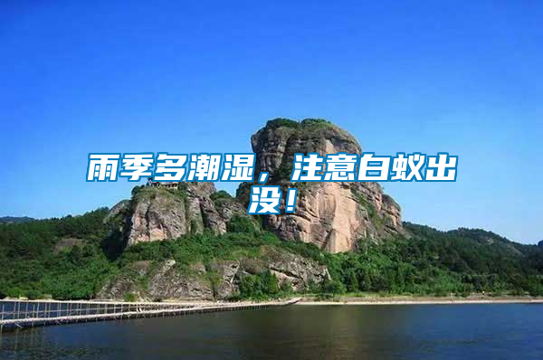 雨季多潮濕，注意白蟻出沒！