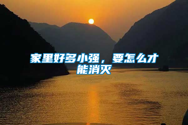 家里好多小強，要怎么才能消滅