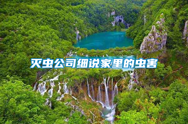 滅蟲公司細(xì)說家里的蟲害