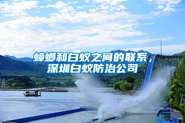 蟑螂和白蟻之間的聯(lián)系，深圳白蟻防治公司