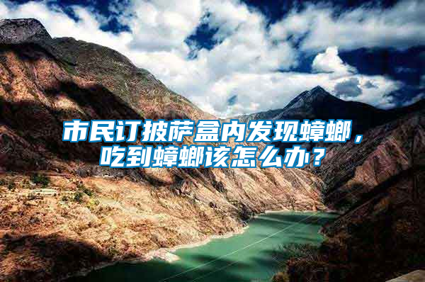 市民訂披薩盒內發現蟑螂，吃到蟑螂該怎么辦？